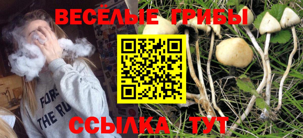 Кимры  Галлюциногенные грибы Psilocybine cubensis  Вход с VPN  Псилоцибиновые грибы MAGIC MUSHROOMS 