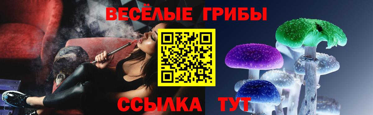 Псилоцибиновые грибы Magic Shrooms Кимры