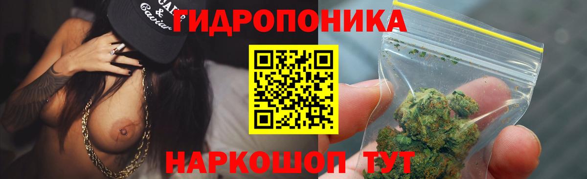 Бошки Шишки марихуана Кимры
